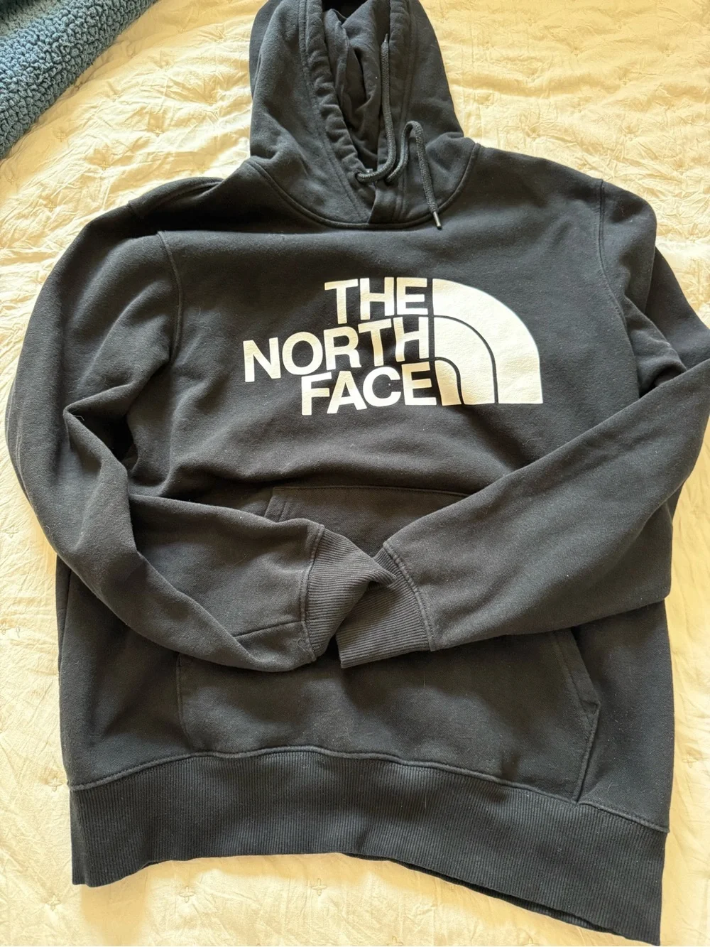 The North Face Men’s m Black Half Dome Logo Pullover Hoodie